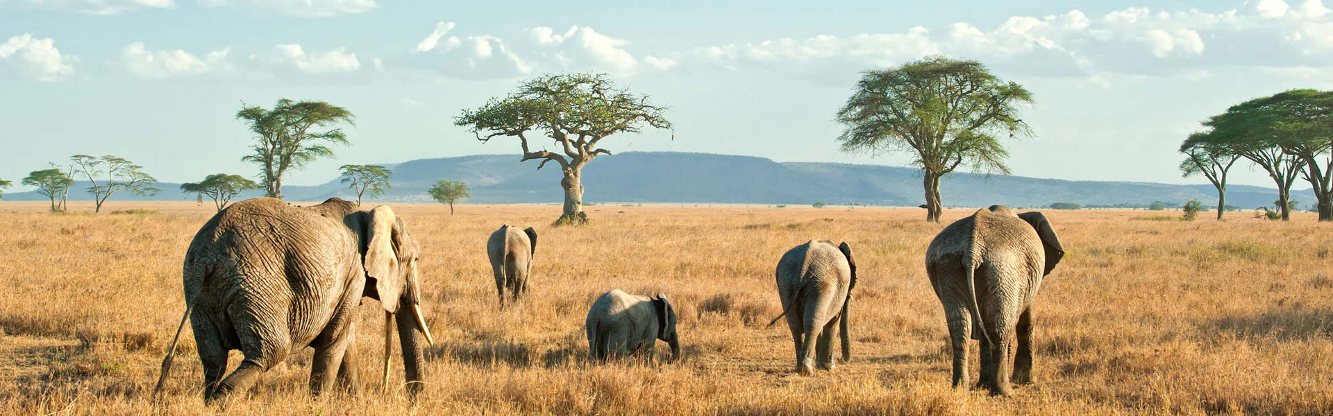 Tanzania