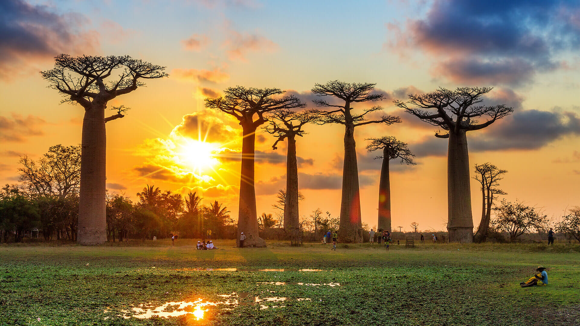 Madagascar