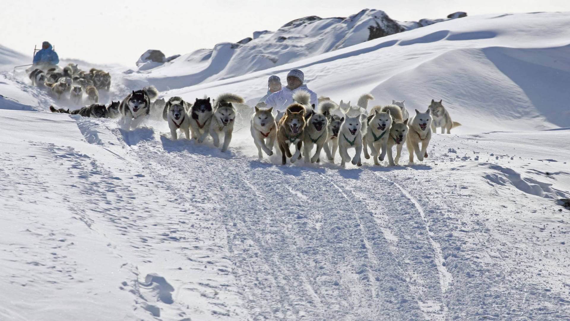 Greenland